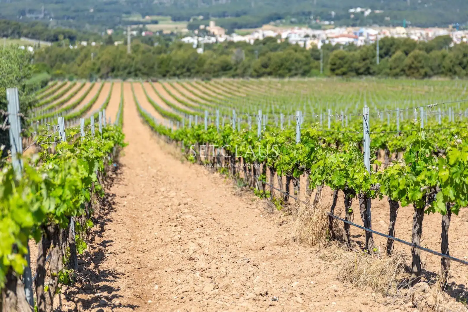 Vista exterior de Casa o xalet en venda en Sant Pere de Ribes amb Aire condicionat, Calefacció i Terrassa