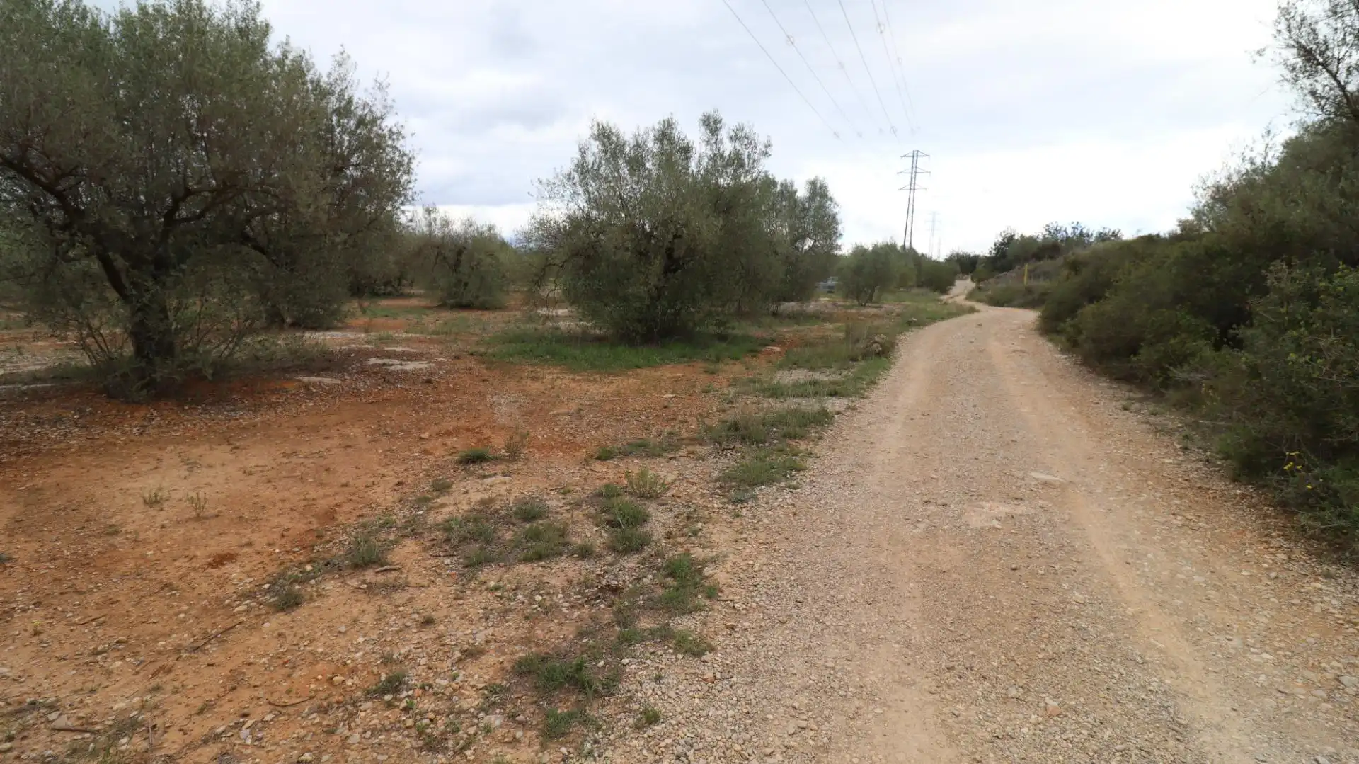 Terreny rústic en venda a Ulldecona, imagen 7