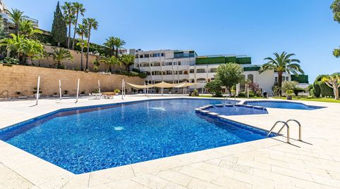 Photo 3 of Apartments for sale in Portals Nous, Calvià