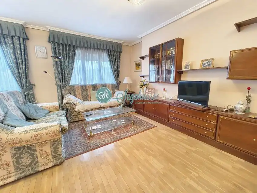 Sala d'estar de Pis en venda en Segovia amb Aire condicionat, Calefacció i Parquet