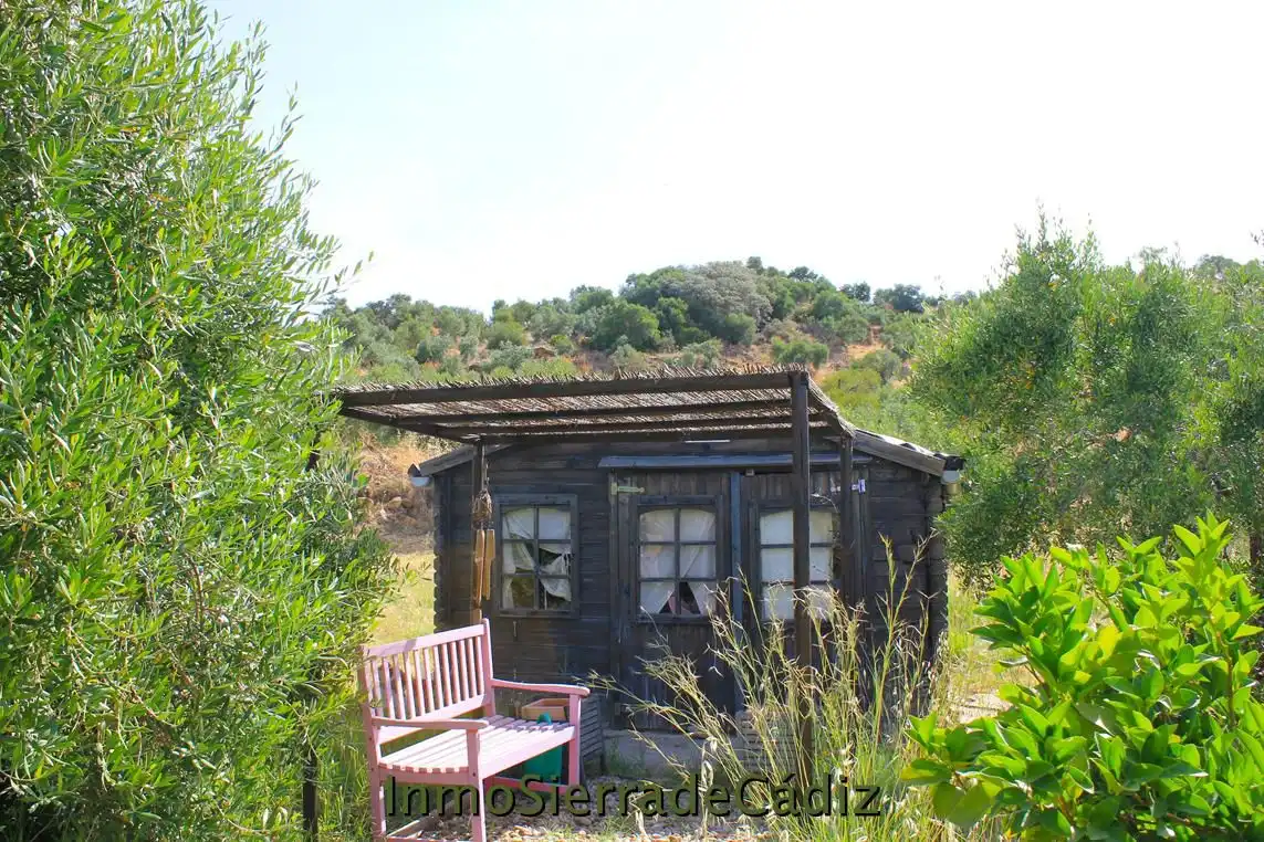 Casa rústica amb piscina en venda a Algodonales, imagen 39
