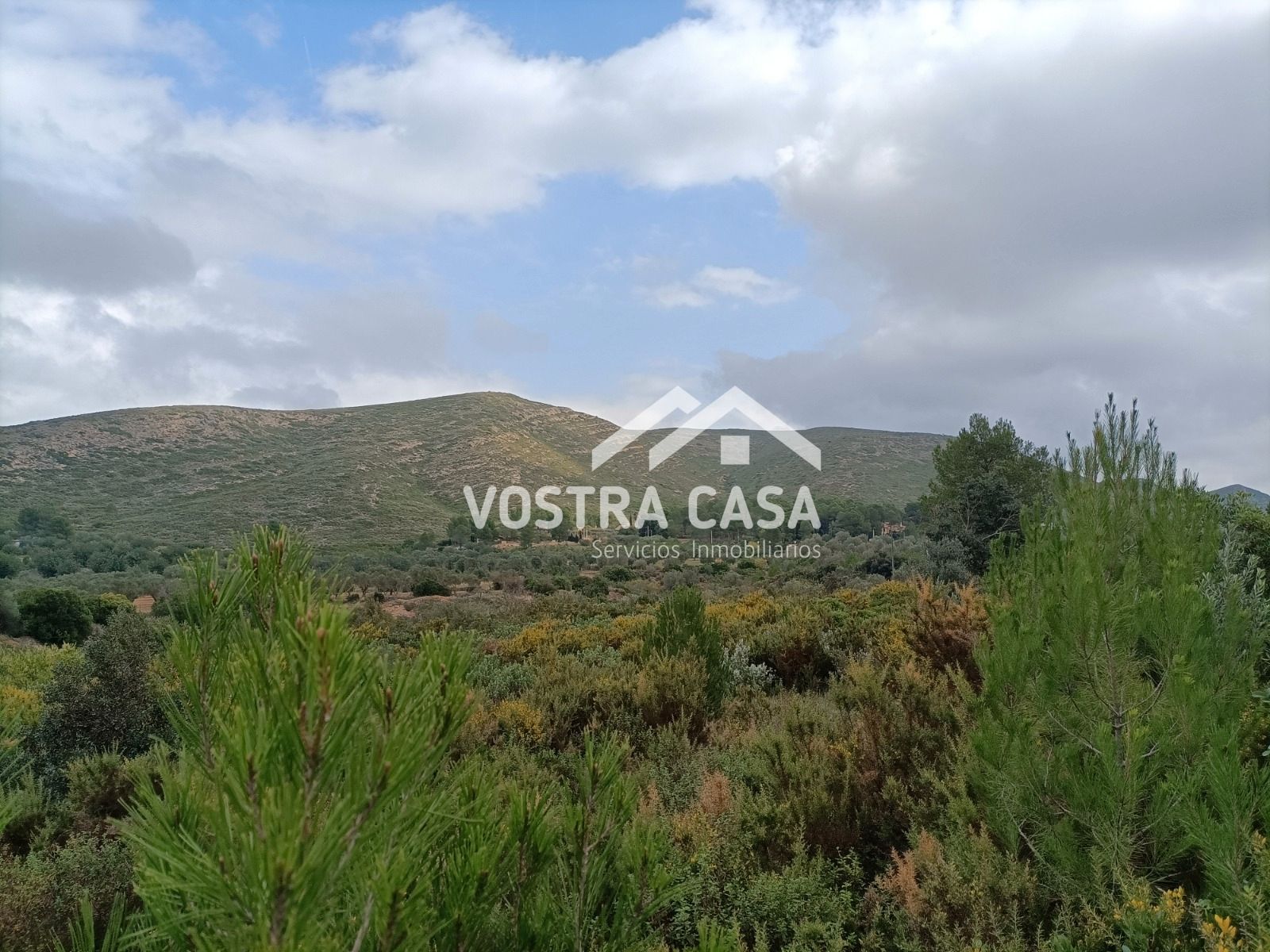 Land for sale in Chelva