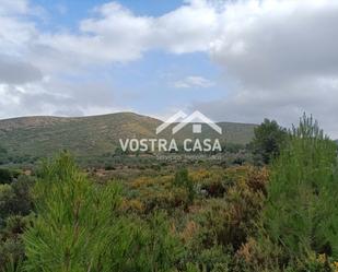 Land for sale in Chelva