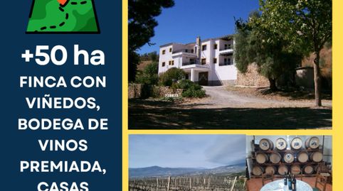 ¡OPORTUNIDAD ÚNICA! FINCA RÚSTICA BODEGA ECOLÓGICA DE +50 HECTÁREAS – LAROLES (NEVADA), GRANADA