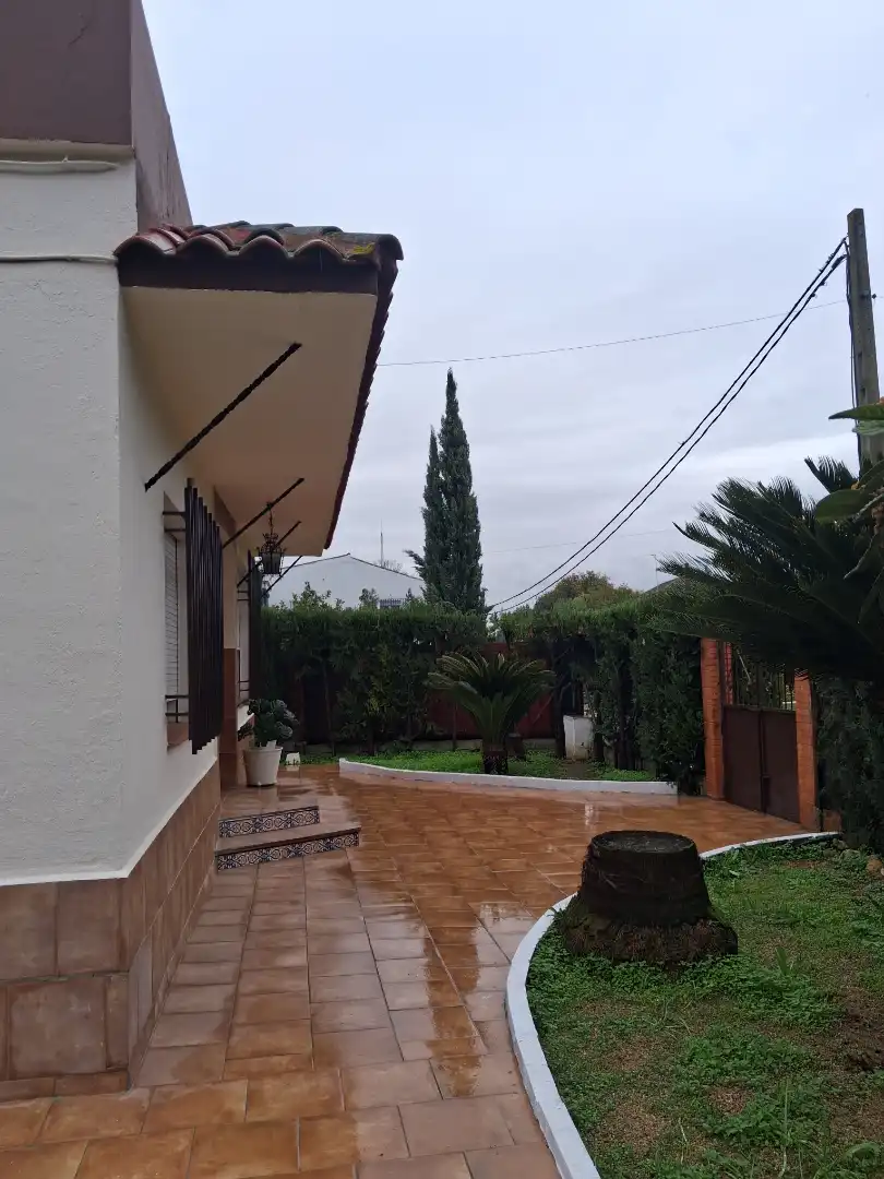 Jardín de Casa o chalet en venta en Castilleja de la Cuesta con Aire acondicionado, Calefacción y Jardín privado