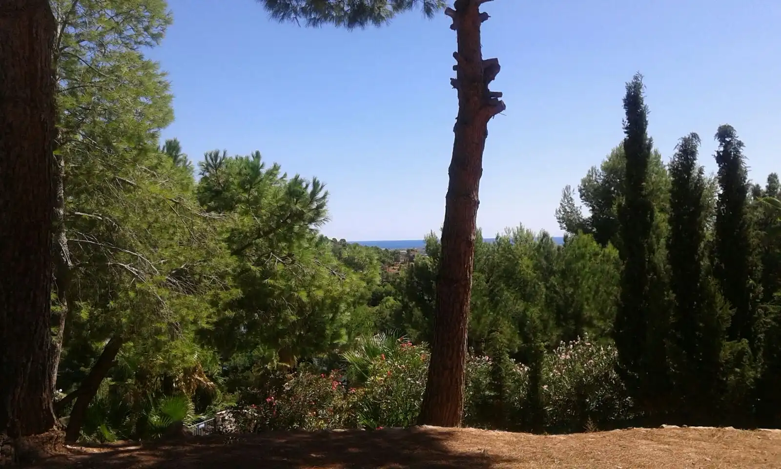 Terreno residenziale in vendita a Carrer Serrans 21, imagen 49
