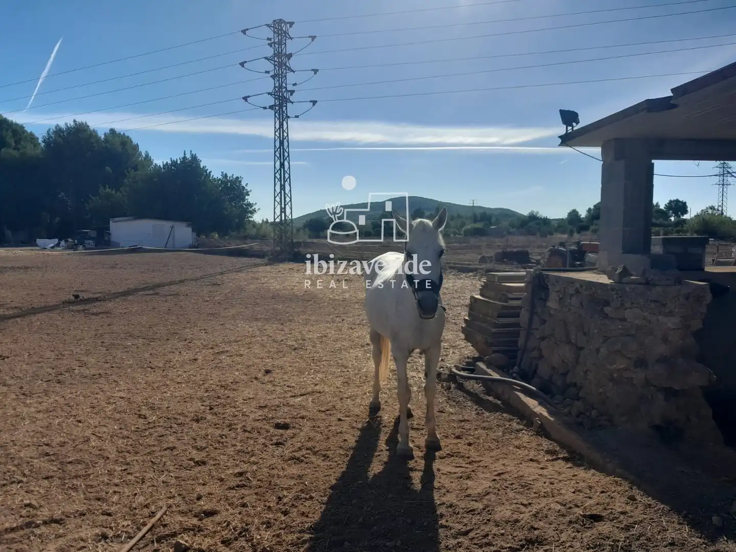 Terreny rústic en venda a de sant llorenç, imagen 6