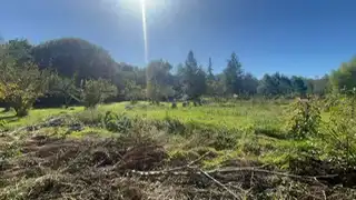 Grundstücke zum Verkauf in Mungia