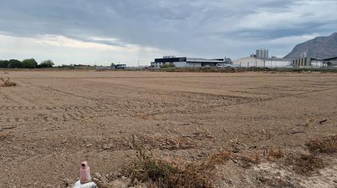 Photo 4 of Industrial land for sale in Lugar Diseminado Cox, 79, Cox, Alicante