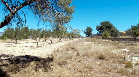 Foto 4 de Terreny en venda a Castalla, Alicante