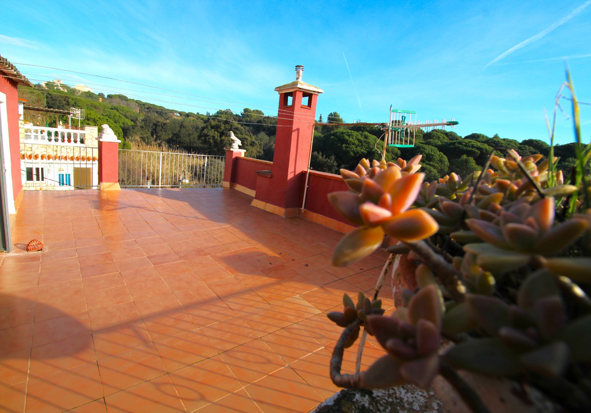 Garden of Single-family semi-detached for sale in Blanes  with Terrace