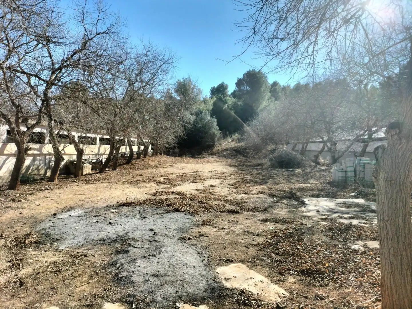 Commercial properties for sale in Navarrés