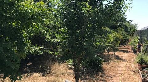 Foto 5 de Casa o xalet en venda a Camí de Les Villes, El Grao, Castellón