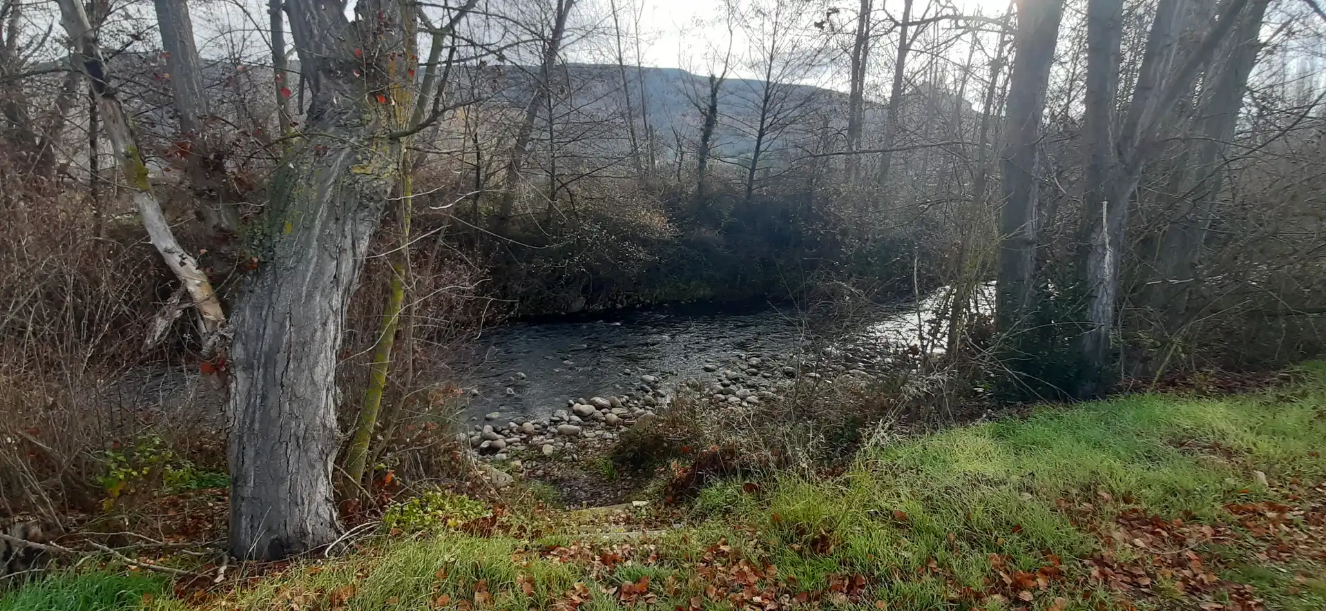 Xalet amb piscina en venda a Camino Viejo de Logroño, imagen 7