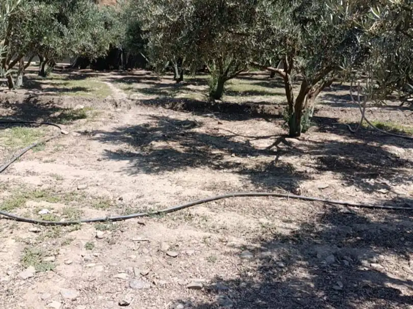 Terreno en venta en Ugíjar