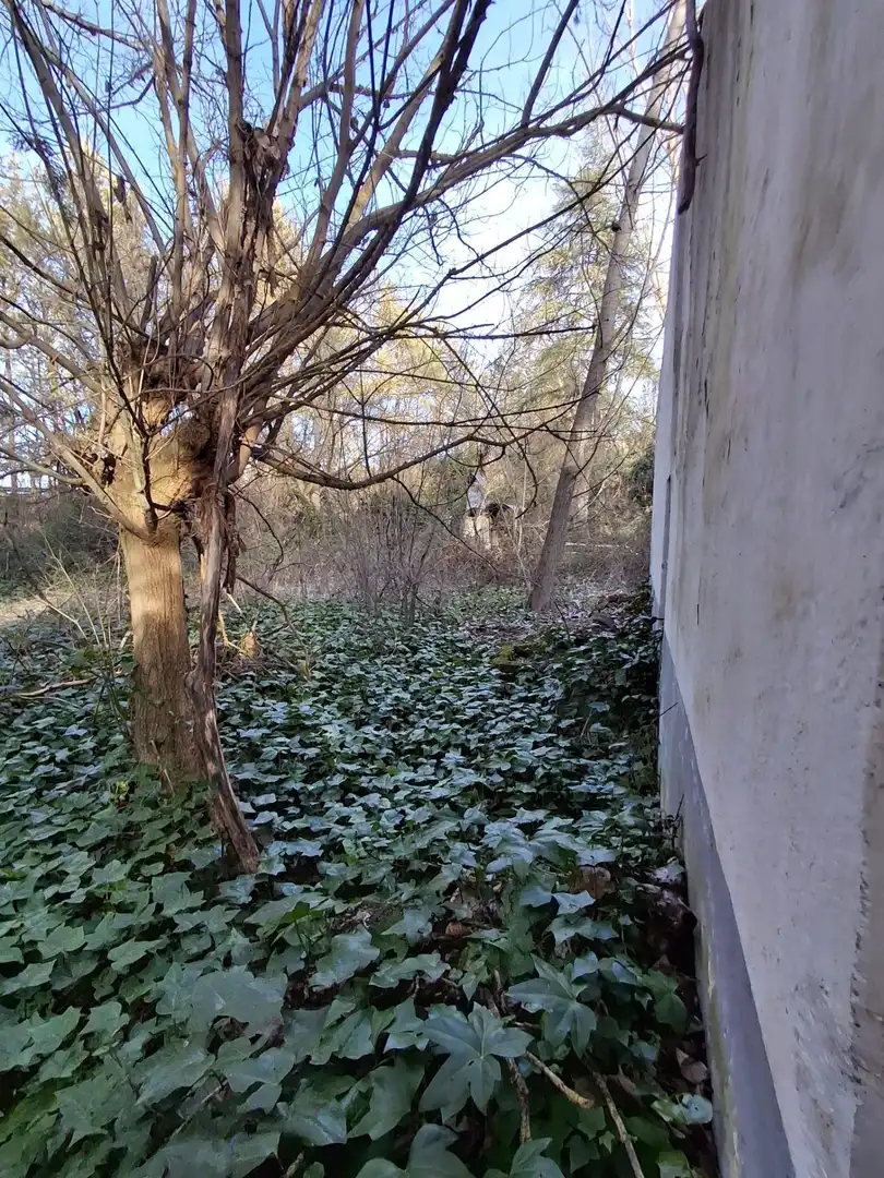 Houses for rent in Pezuela de las Torres