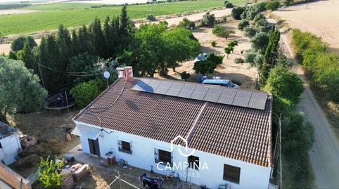 Foto 3 de Finca rústica en venda a San Juan del Puerto, Huelva
