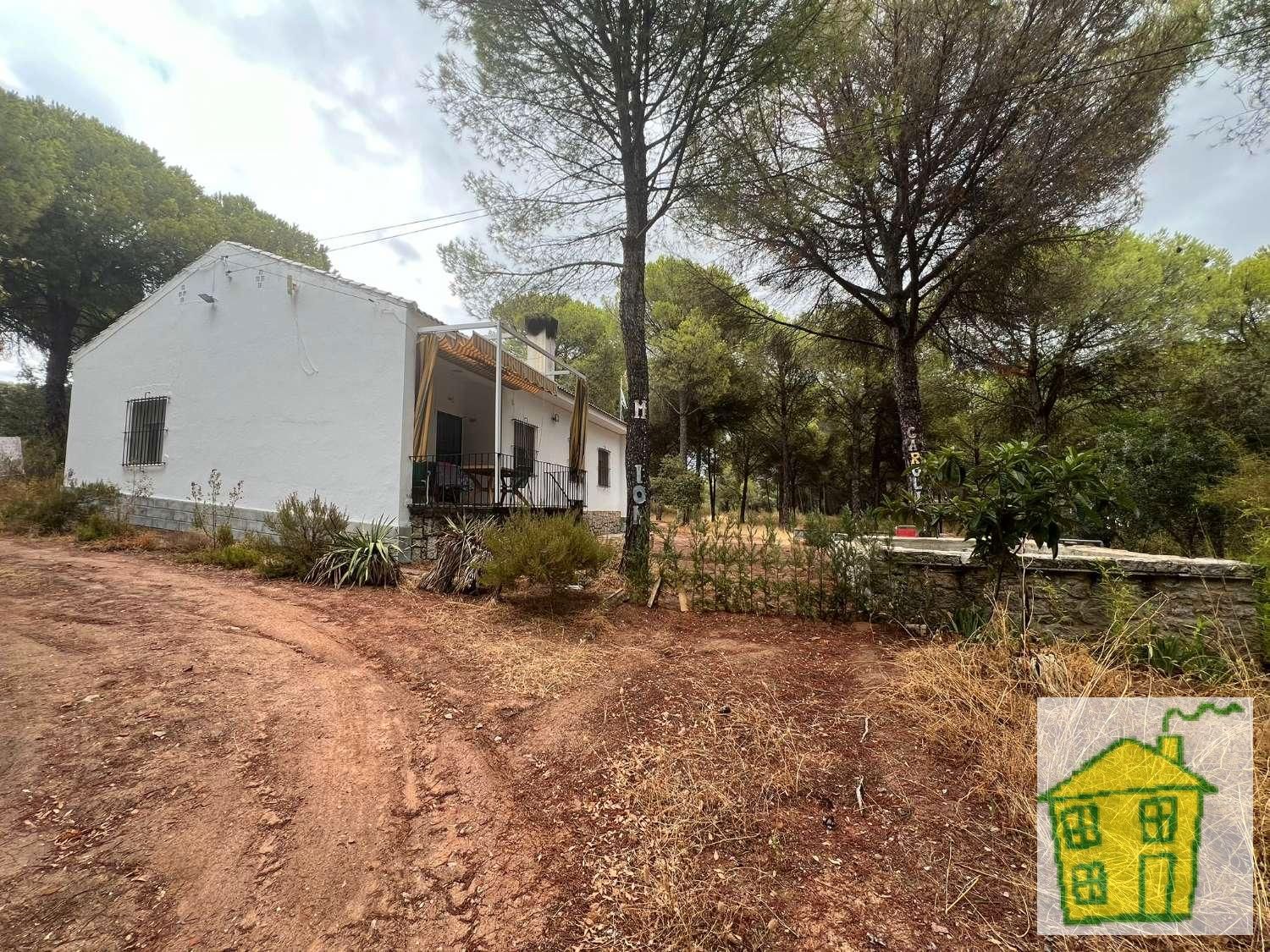 Jardín de Finca rústica en venta en Andújar