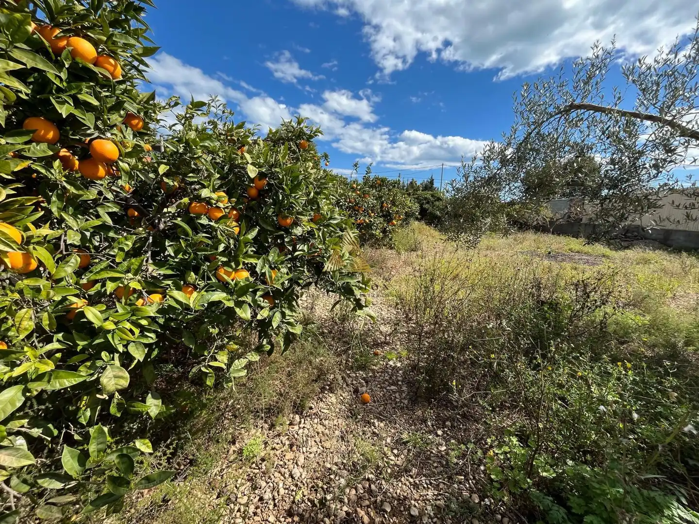 Terrenos y solares en venta en Pueblo, imagen 7