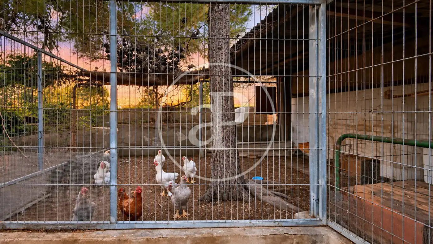Country house with terrace for sale in Urbanizaciones, imagen 23