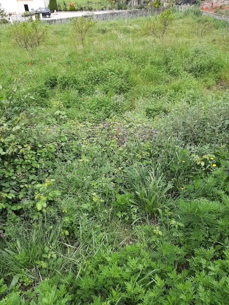 Wohnbaugrundstück zum Verkauf in Campins, imagen 3