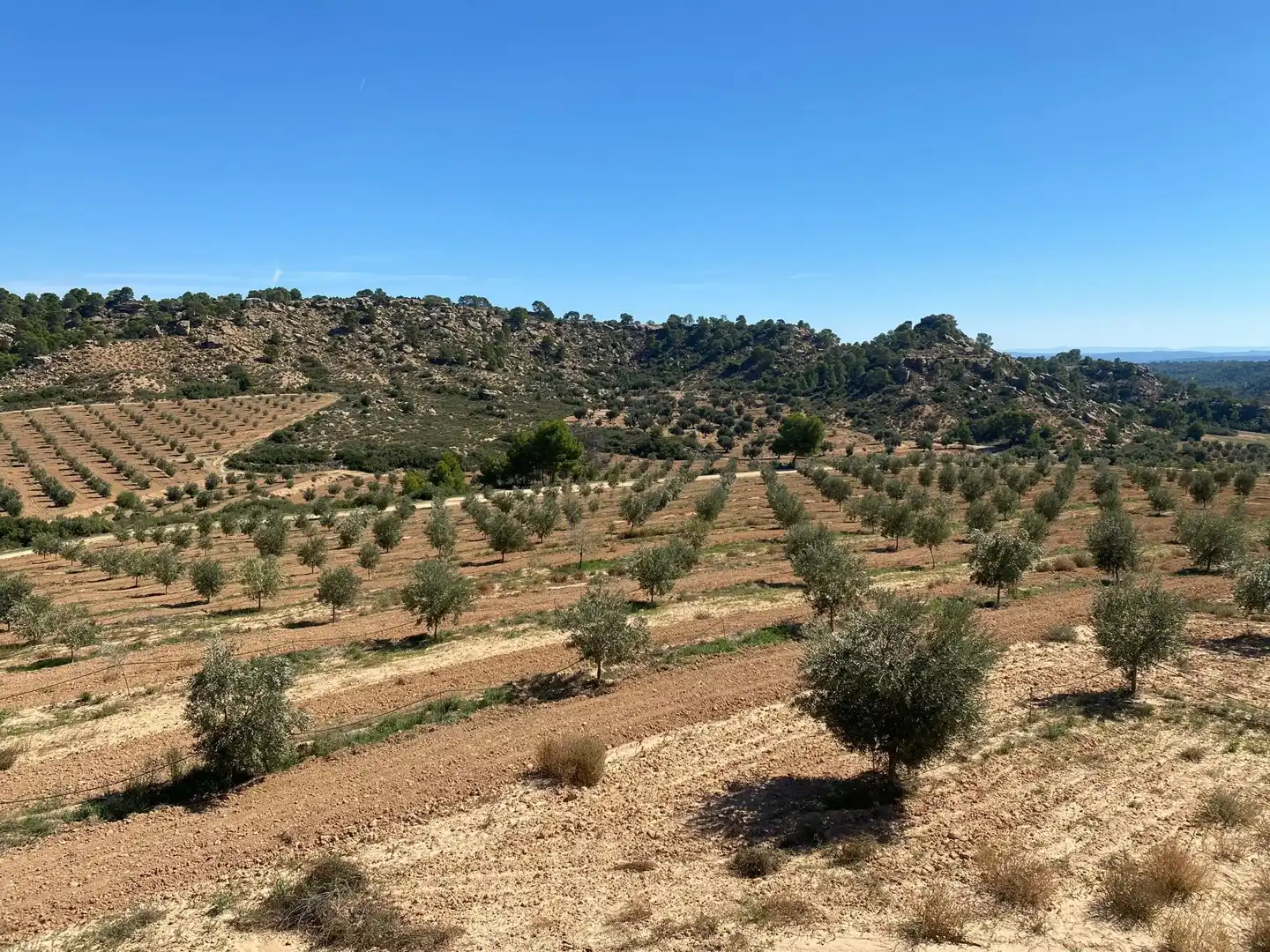 Casa o chalet en venta en Alcañiz con Terraza