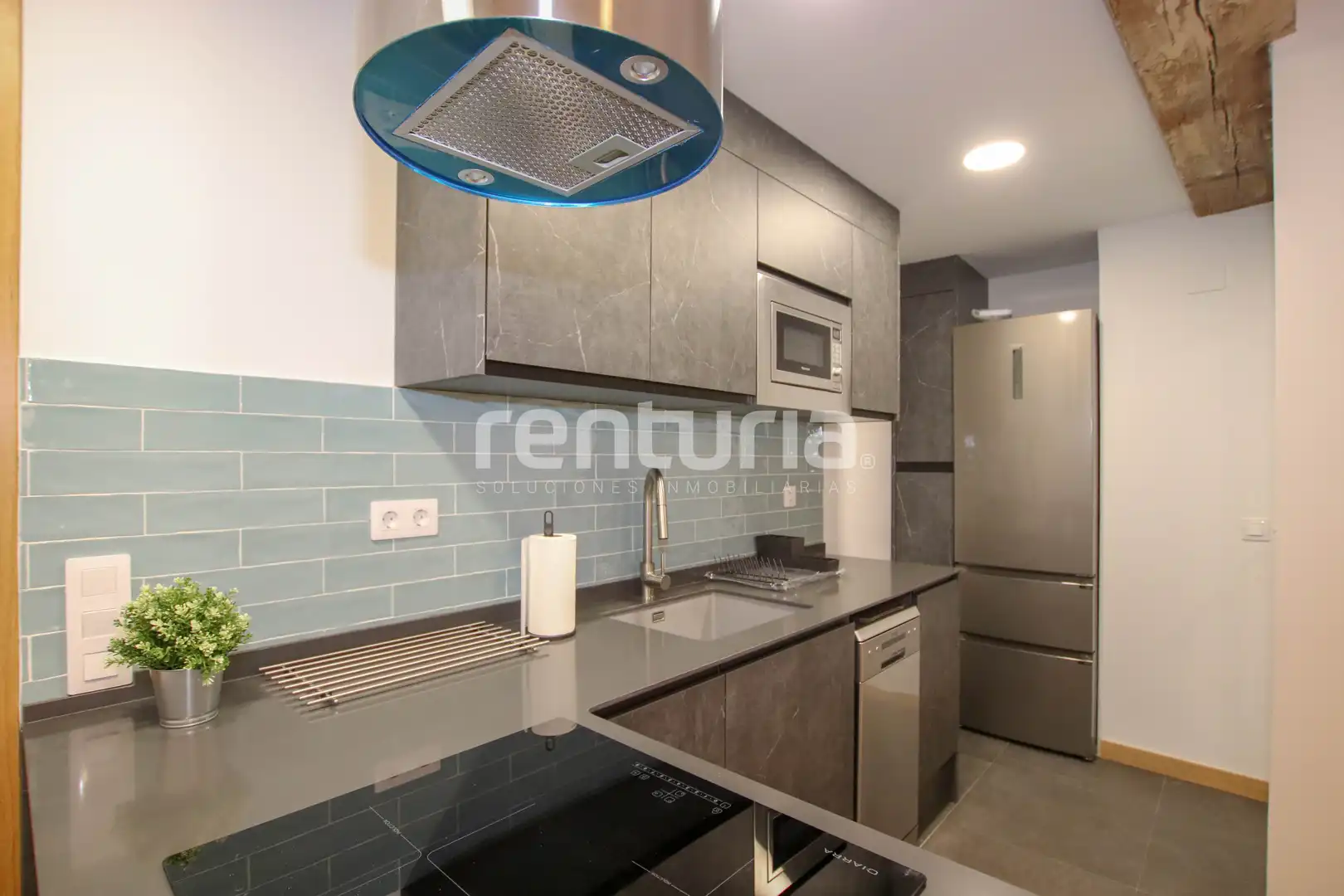 Apartament de lloguer a Carrer de Borrull, El Botànic