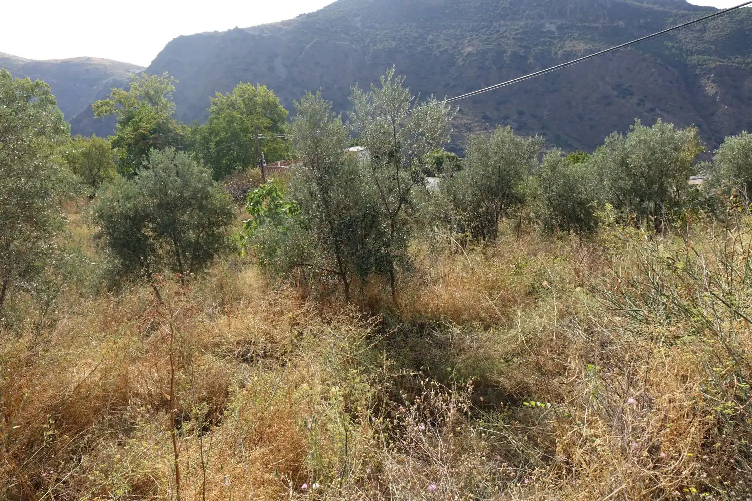 Finca rústica en venta en La Taha