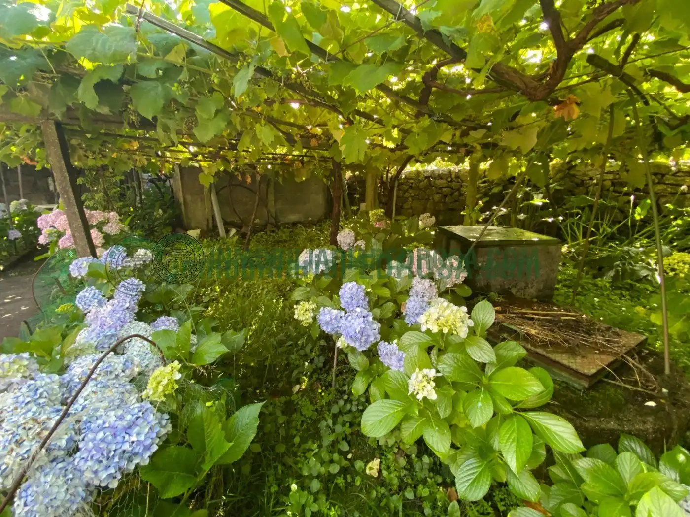 Finca rústica en venta en San Xoán de Poio