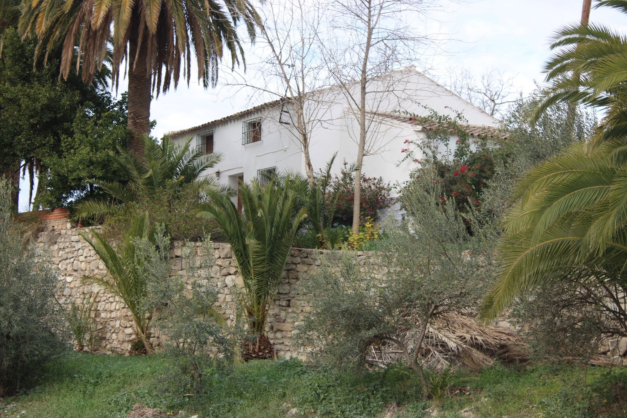 Exterior view of House or chalet for sale in Montecorto