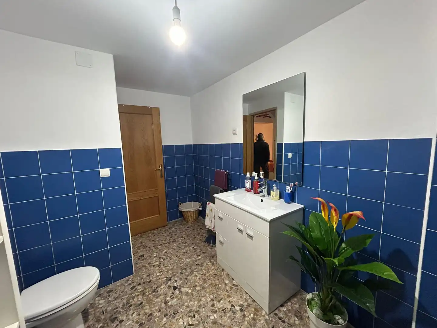 Doppelhaushälfte zum Verkauf in Avenida RAVALET, imagen 36