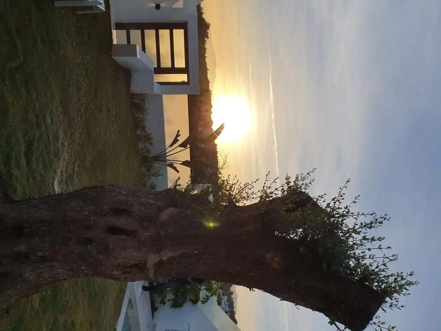 Villa mit Terrasse zum Verkauf in Marbella Centro, imagen 18