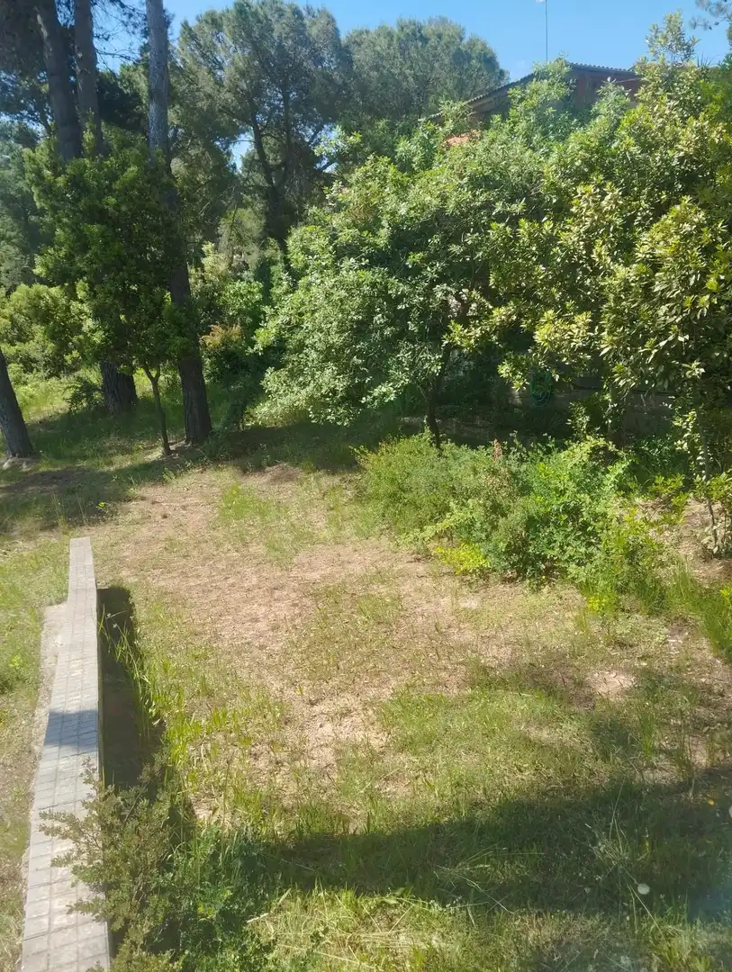 Residential land for sale in Calle COVA SIMANYA, imagen 3