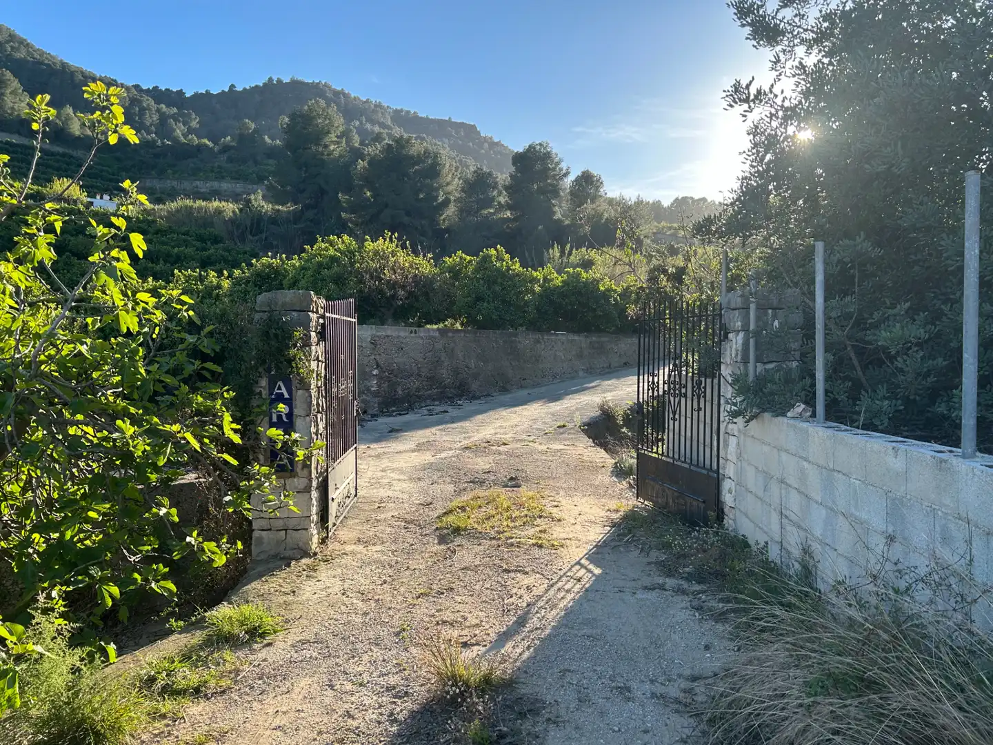 Finca rústica en venda en Oliva amb Moblat