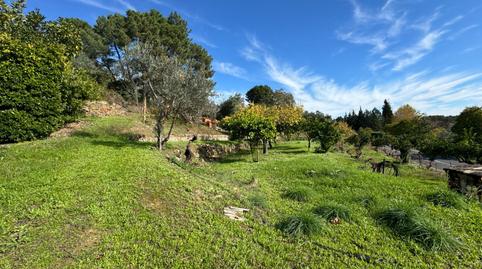 Photo 5 of Country house for sale in Candeleda, Ávila