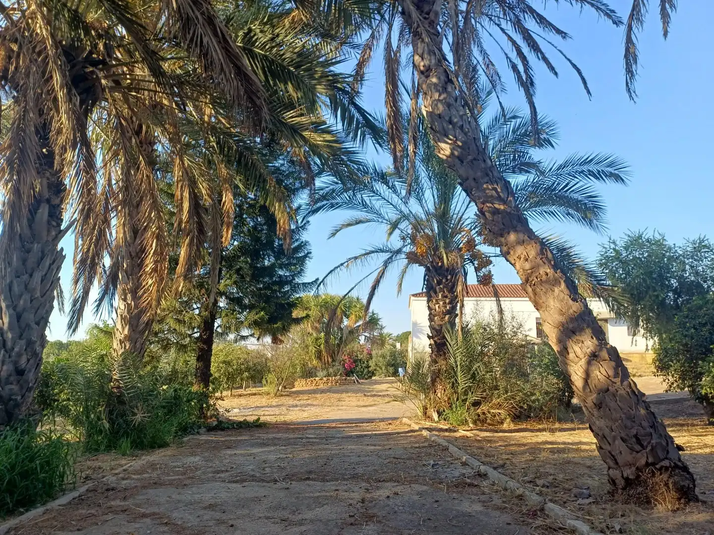 Chalet en venta en La Puebla del Río, imagen 4