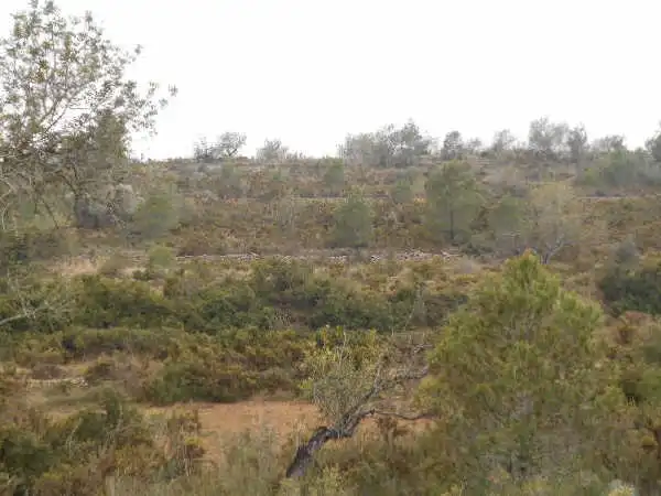 Rural land for sale in Ptda San Miguel, Timba y Palillo, imagen 12
