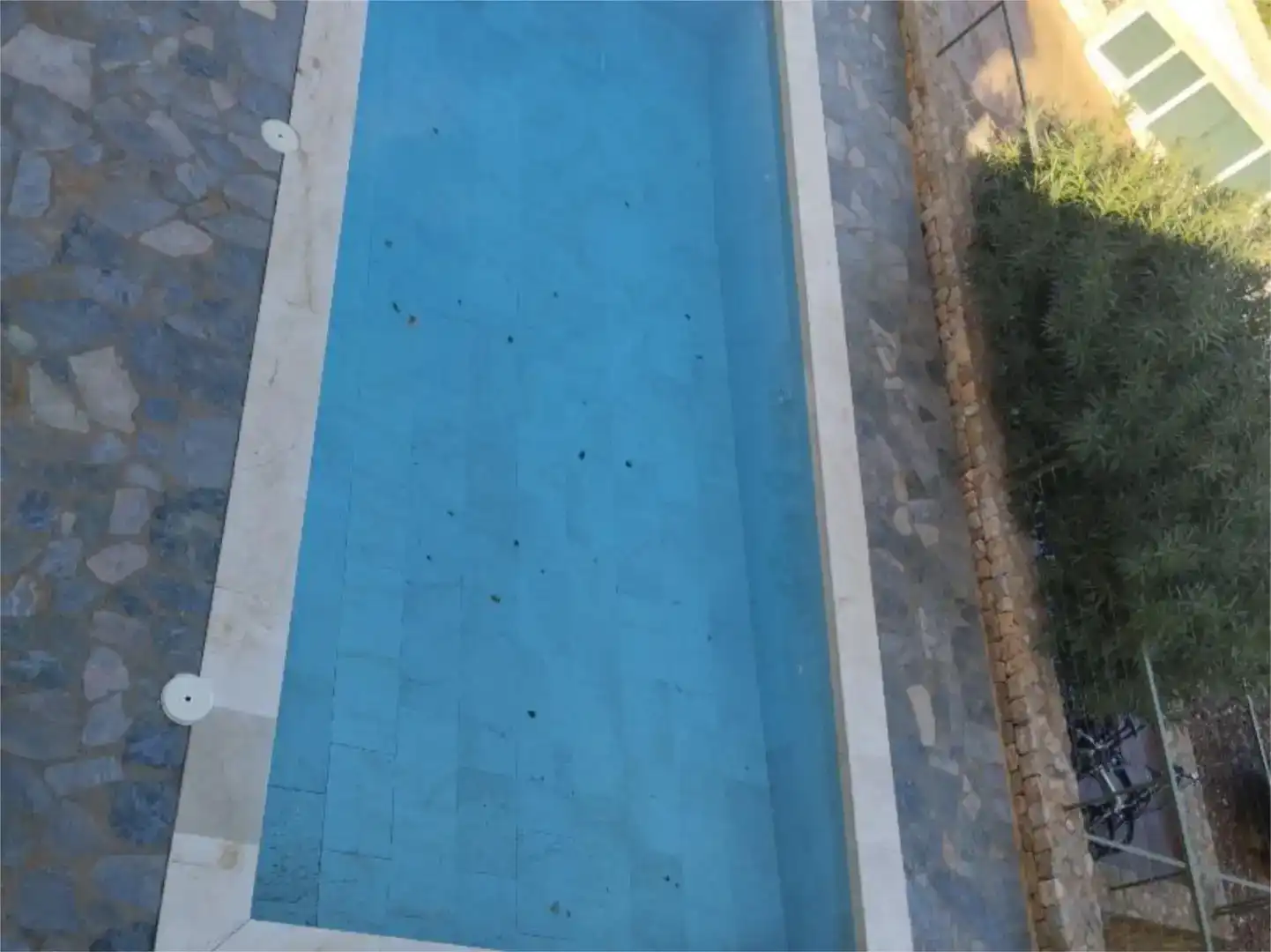 Piscina de Casa o xalet de lloguer en Pollença amb Piscina i Moblat
