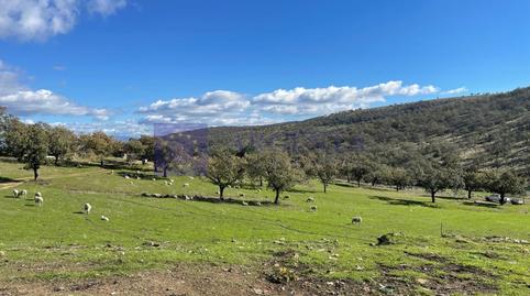 Foto 3 de Casa o chalet en venta en Diseminados Carrascal, Trujillo, Cáceres