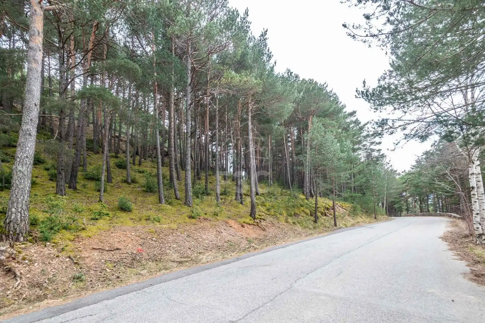 Terreno en venta en Aubinyà - Juberri