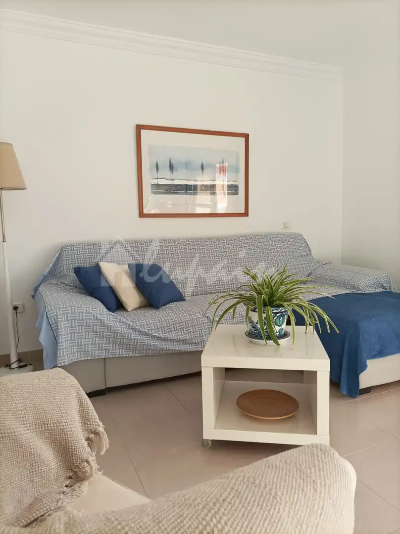 Sala de estar de Ático en venta en Arona