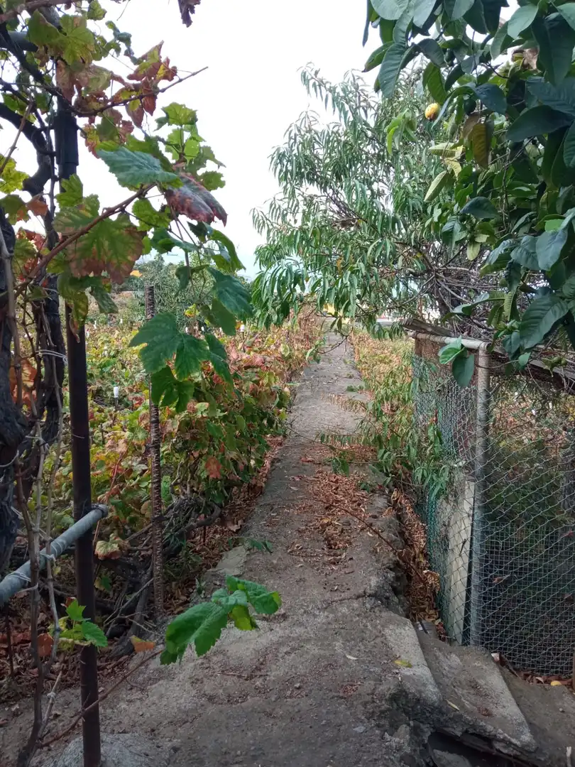 Terreno rustico in vendita a Las Cuevas - Los Gómez, imagen 30