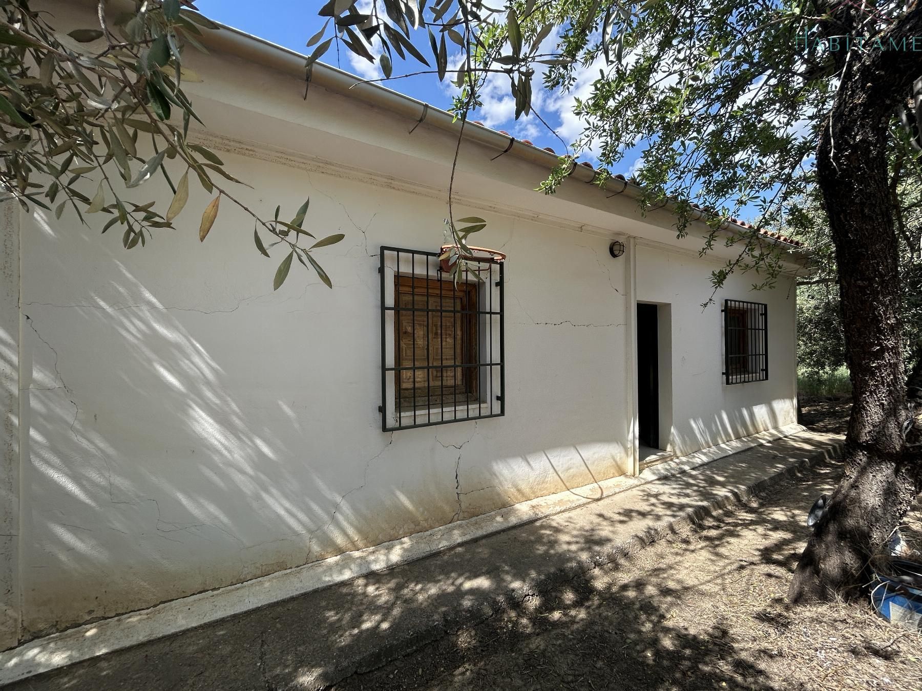 Vista exterior de Finca rústica en venda en Pinos Genil