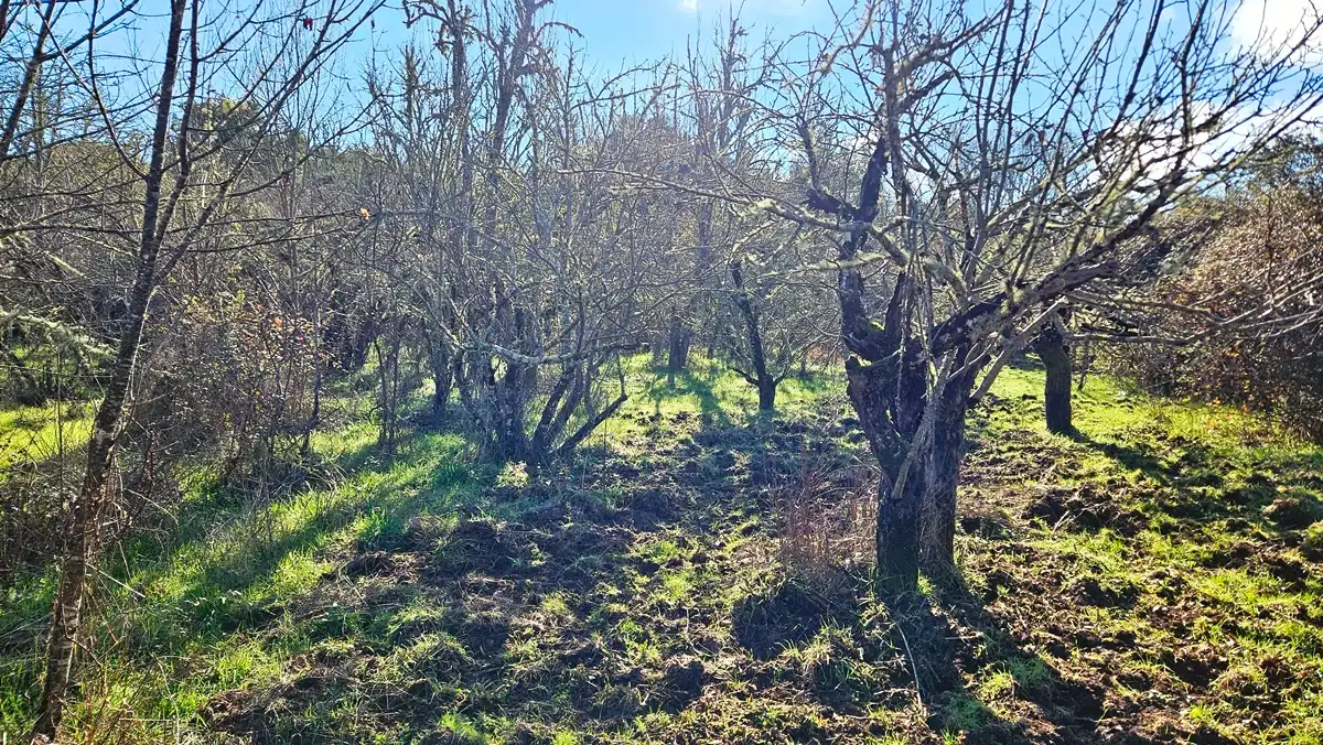 Casa o xalet en venda en Los Marines amb Jardí privat, Terrassa i Traster