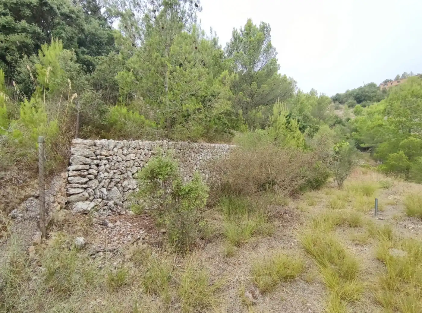 Terreny residencial en venda a Camí Comellar de ses Olibes 6