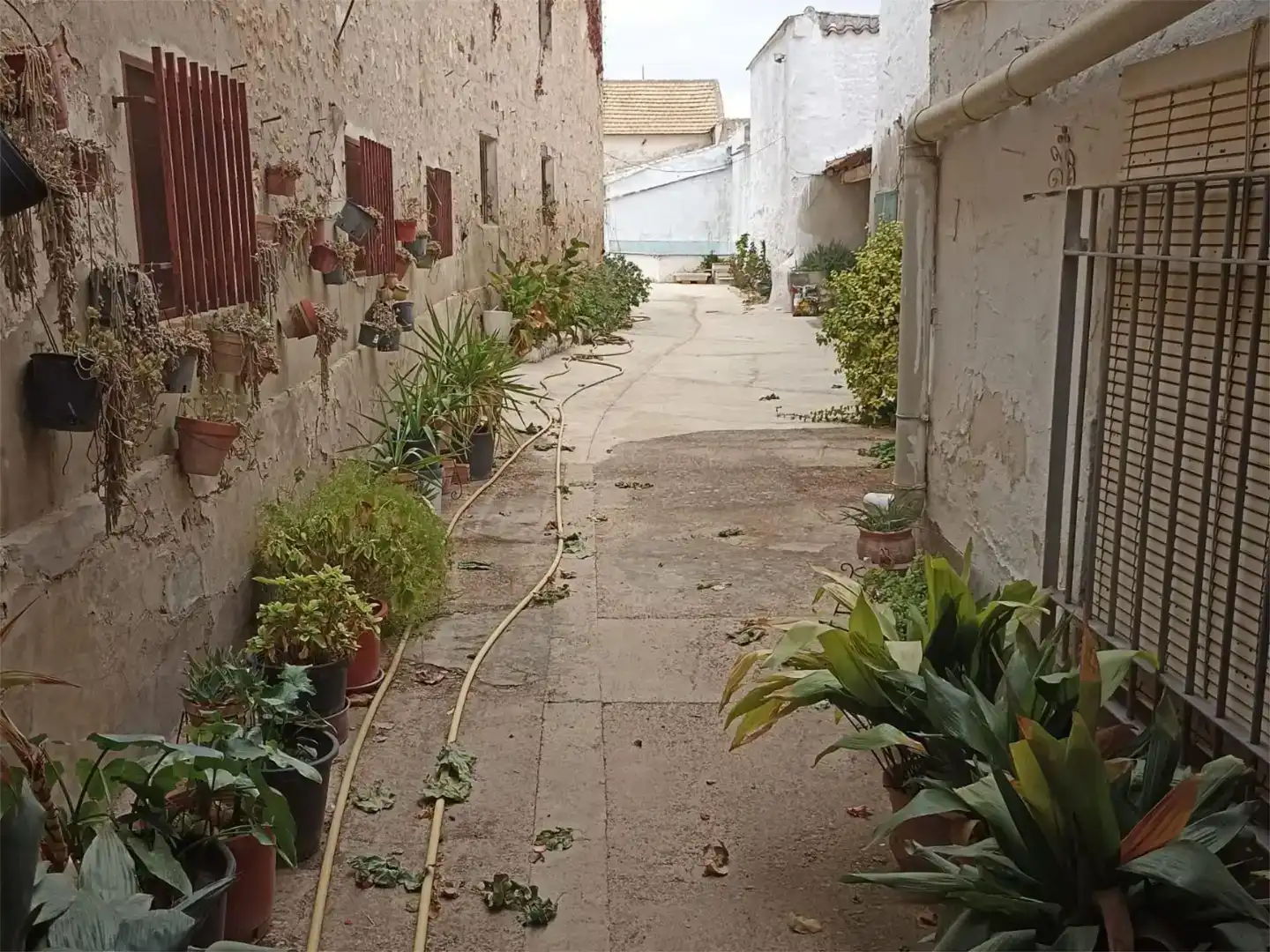 Vista exterior de Planta baja en venta en Carrión de Calatrava con Trastero y Amueblado