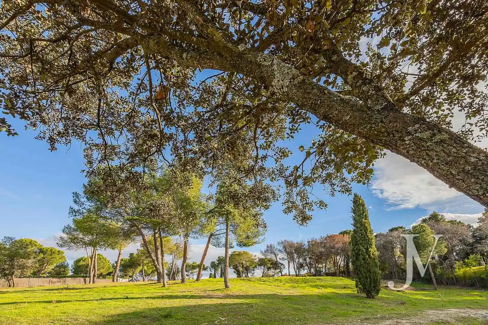 Jardí de Residencial en venda en La Moraleja