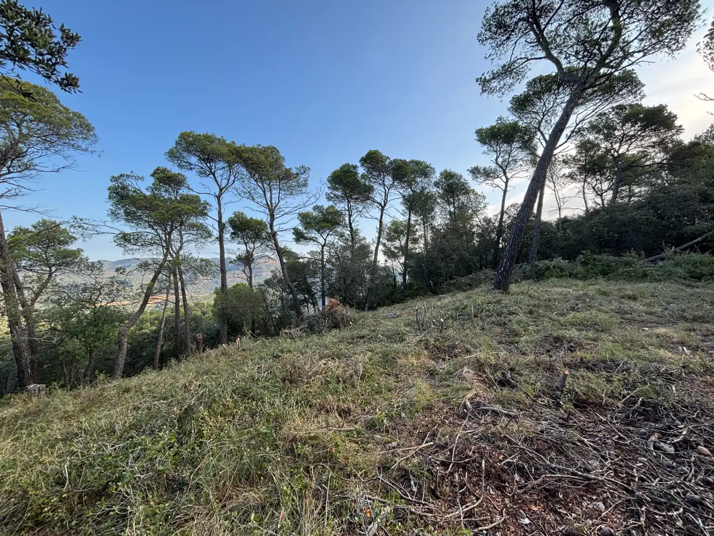 Residential land for sale in Carrer Pasarell, imagen 16