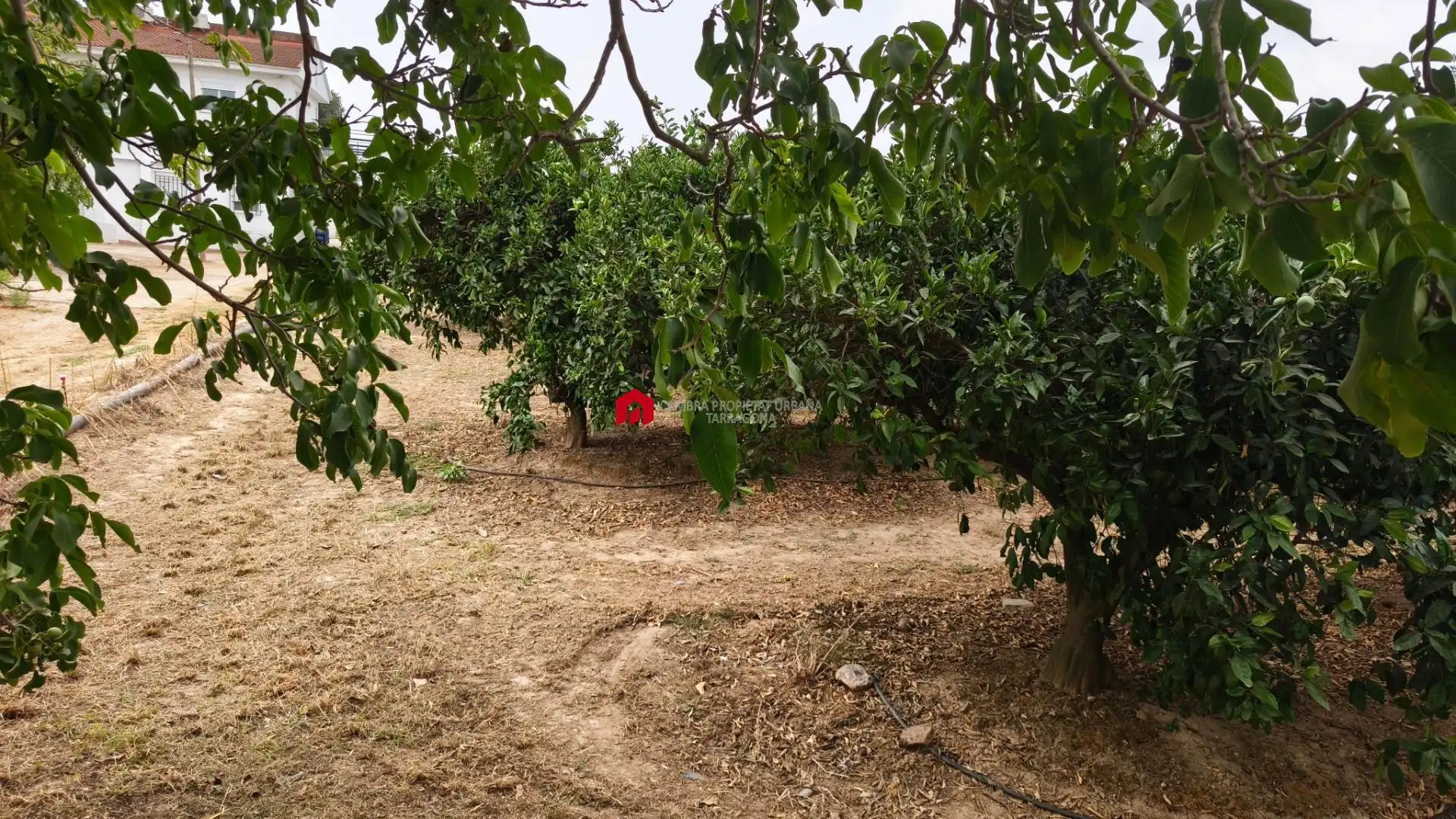 Country house zum Verkauf in Tortosa
