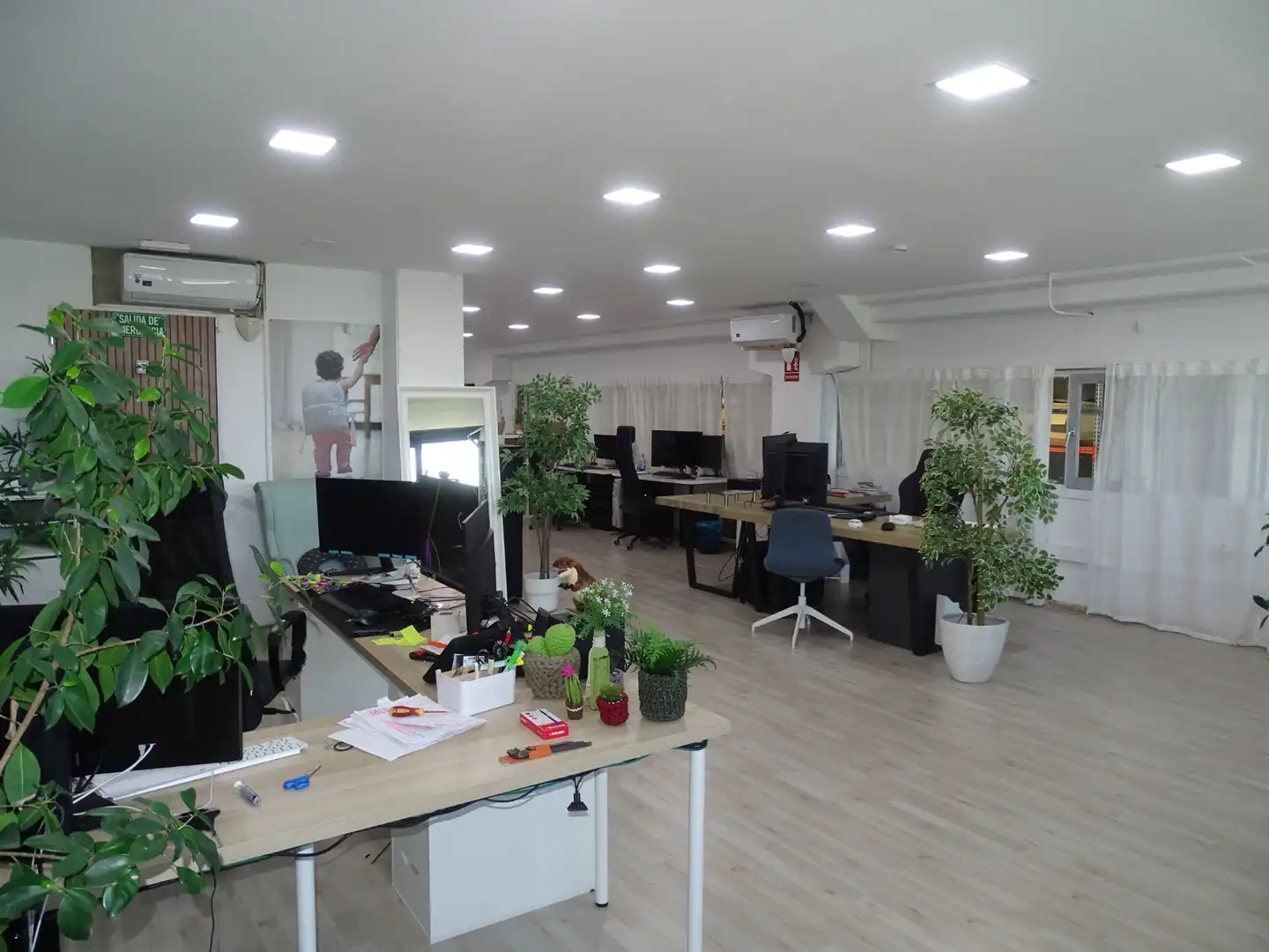 Industrial buildings for rent in Finestrelles